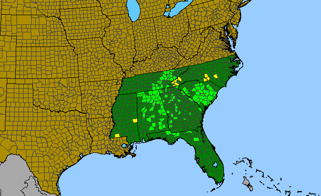 The range of Smilax hugeri